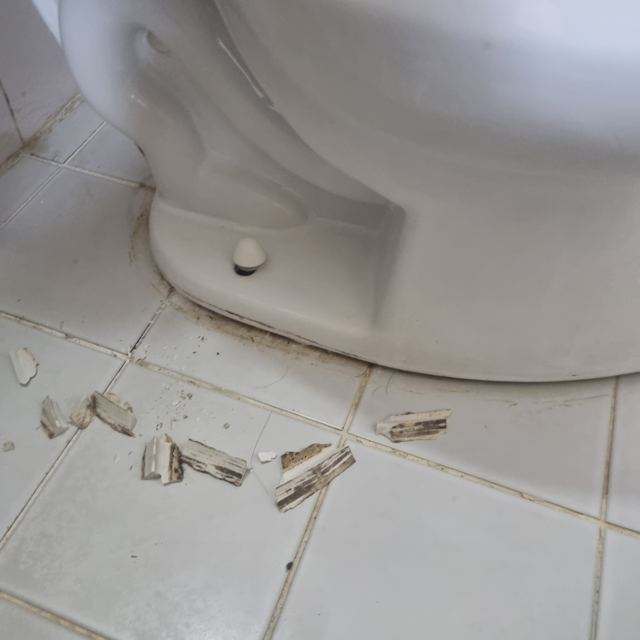 변기 둘레 백시멘트 걷어내고 재시공 5
