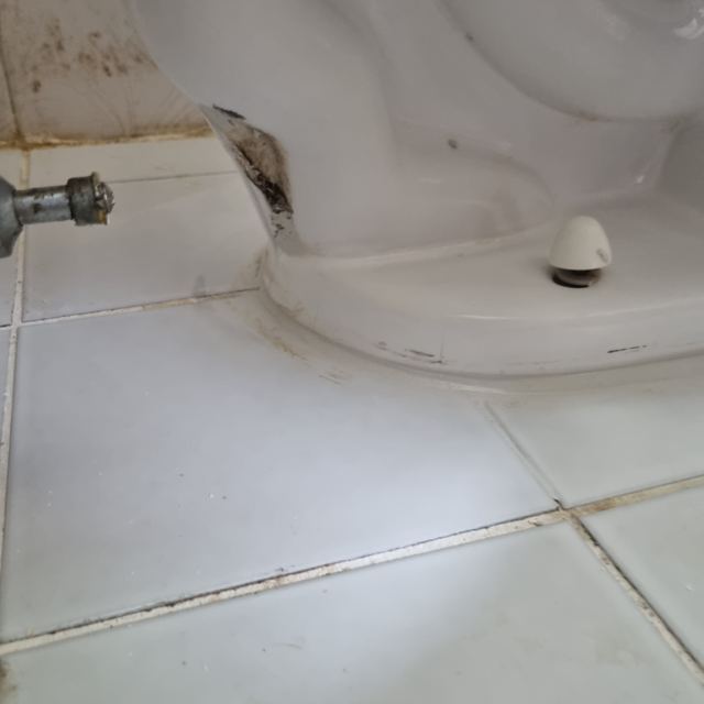 변기 둘레 백시멘트 걷어내고 재시공 12